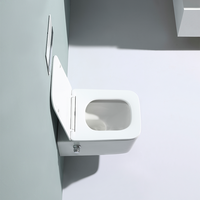 Toilette carrée de qualité moderne, toilette avec bidet intégré, bol et bidet intégré