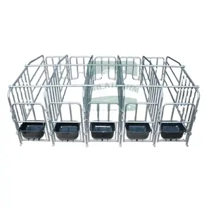 GREAT FARM Modern Agricultural Equipments Animal Cages Sow Gestation pen Galvanized Pig Sow Positioning Bar