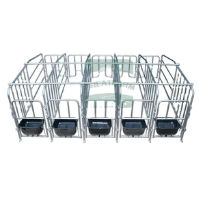 Attrezzature Agricole Moderne: Gabbie per <span class=keywords><strong>Animali</strong></span>, Box di Gestazione per Scrofe, Barra di Posizionamento per Scrofe Zincata - Product Image 1
