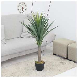 <span class=keywords><strong>ต้น</strong></span>ไม้และดอกไม้ประดิษฐ์ ดอกชบาประดิษฐ์ กล้วยไม้หญ้า ขายดี รับผลิตแบบ OEM/ODM <span class=keywords><strong>ต้น</strong></span>ปาล์มพร้อมกระถาง <span class=keywords><strong>ต้น</strong></span>ไม้บาอับบับประดิษฐ์ - Product Image 2