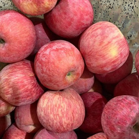 Groothandelsprijs Op Rode Fuji-Appels Vers Chinees Fruit