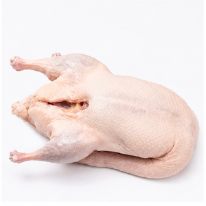 <span class=keywords><strong>Canard</strong></span> entier congelé <span class=keywords><strong>de</strong></span> qualité supérieure sans pattes ni tripes pour la restauration et le marché international <span class=keywords><strong>de</strong></span> gros - Product Image 2