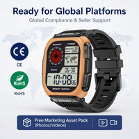 Reloj Deportivo GPS DM66 para Exteriores, Pantalla AMOLED, Mapa Fuera de Línea, Resistente al Agua 5ATM, GPS Multisatélite, Llamadas Bluetooth, OEM, Personalizado, Venta al Por Mayor de Fábrica