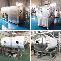 Liofilizador de 50 kg económico para alimentos, frutas, pescado y leche materna, máquina de secado por congelación al vacío con cinta transportadora