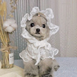 Vêtements pour animaux de compagnie: robe de protection solaire respirante en dentelle pour chats et chiens, bouledogues français, Teddy, Yorkshire, Shih <span class=keywords><strong>Tzu</strong></span>, Corgi, Maltais, - Product Image 1