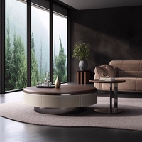 "Planche de roche en bois massif minimaliste, villa de petite taille irrégulière créative, salon, table basse domestique"