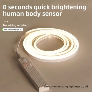Tira de <span class=keywords><strong>Luces</strong></span> LED de Neón USB con Batería DC5V, Sensor de Movimiento PIR, Tubo de Silicona de 6x12 mm, Cuerda de Neón Flexible Impermeable IP67 - Product Image 3