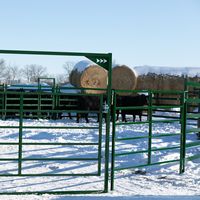 Premium 6 Rail Ganado Paneles Valla Caballo Oveja Stockyard Corral Panel Patio Esgrima Enrejado Puertas