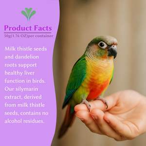 Complément de Chardon-Marie et de Racine de Pissenlit pour Oiseaux – Poudre de Soutien Hépatique Actif – Formule Hépatique pour Perroquets - Product Image 2