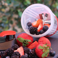 Draagbare 450Ml Handmatige Fruitpers Blender