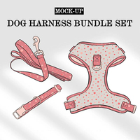 Harnais pour chien en velours côtelé respirant et réglable avec logo personnalisé Sunraymascota, laisse en néoprène brodée, colliers, kit de harnais pour animaux de compagnie