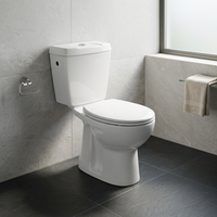 WC — placard à eau en céramique, placard à deux pièces avec cendrier, produits ménagers et américains, de forme ronde, w/WC, prix d'usine, Offre Spéciale