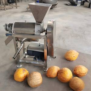 Presse-agrumes de haute qualité pour usage domestique et commercial, extracteur de <span class=keywords><strong>jus</strong></span> de gingembre pour boissons <span class=keywords><strong>maison</strong></span> - Product Image 4