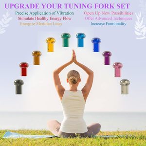 Juego de 10 Piezas de Accesorios de Instrumentos Musicales de Plástico Multicolor, Cuentas Atenuadoras, Diapasones, Armonización de Sonido Curativo - Product Image 1