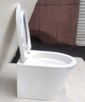 Europe toilette murale sans rebord toilette flottante wc suspendu complet salle de bain toilette suspendue