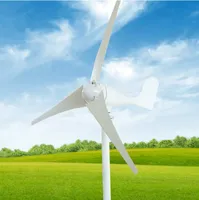 Éolienne domestique horizontale 800W 1KW 12V, énergie propre résidentielle, petite éolienne portable