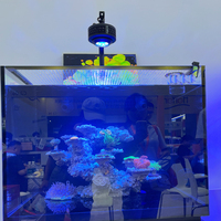 A7 100W LED à spectre complet lampe de récif à gradation à six voies WIFI/Bluetooth contrôle pour poissons d'eau salée marins en plastique vivant