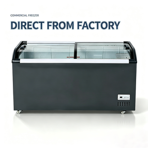 Congelador de Vidrio Curvo con 2 Puertas, Estantes Ajustables, Vitrina de Enfriamiento Directo para Vegetales Congelados, Supermercado - Product Image 1