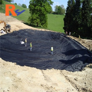 Geomembrana Impermeable de PE para Acuicultura, Tanques de Piscifactorías, Vertederos, Plantas Químicas, Conservación del Agua y Campos de Golf - Product Image 4