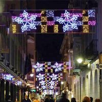 Éclairage LED extérieur étanche IP65 en gros de Chine pour fêtes, Noël, mariages, décoration intérieure et aménagement paysager, télécommandé et à intensité variable