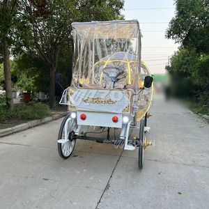 Chariot électrique de luxe lumineux en forme de citrouille pour la décoration de lieux de mariage et la photographie commerciale - Product Image 1