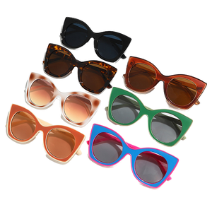 Lunettes de soleil œil de chat PC tendance 2026 avec logo personnalisé, protection UV400, monture large multicolore pour hommes et femmes - Product Image 1
