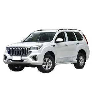 新車HavalH92023左ハンドルAWD自動車SUV中国車4x4高級エクステリア