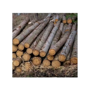 Công nghiệp lớp gỗ cứng bản ghi thông gỗ và Bạch Đàn tếch sồi Bạch Dương gỗ đàn hương gỗ cho mục đích sản xuất - Product Image 4