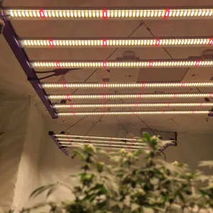 Nalite-Lámpara de espectro completo para cultivo de plantas, luz Led de 301 W para lechuga, Tailandia, Malasia, Samsung lm301B 700 H Etl Dlc