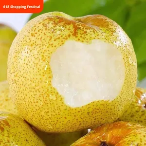 ลูกแพร์พรีเมี่ยม2024จาก Dangshan Anhui-ผลไม้ขนาดใหญ่จากต้นไม้เก่าแก่ร้อยปีรสหวานถนอมน้ำบรรจุภัณฑ์จำนวนมาก - Product Image 2