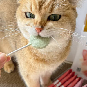 ISO 22000-zertifizierte Katze Treat Pet Supply Öko-Verpackung Gefrier getrocknete Lollipop Cats Snacks für Premium-Tiernahrung marken - Product Image 6