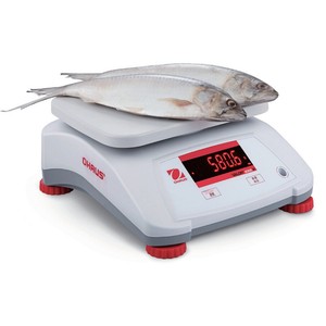 เครื่องชั่งน้ำหนัก OHAUS รุ่นกันน้ำ คุณภาพเยี่ยมจากอเมริกา สำหรับ Valor2000 ความจุ 1.5กก.-15กก. - Product Image 4