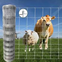 Clôture en Treillis Métallique Galvanisée pour Bétail, Chevaux, Moutons, Chèvres, Pâturage et Élevage Porcin