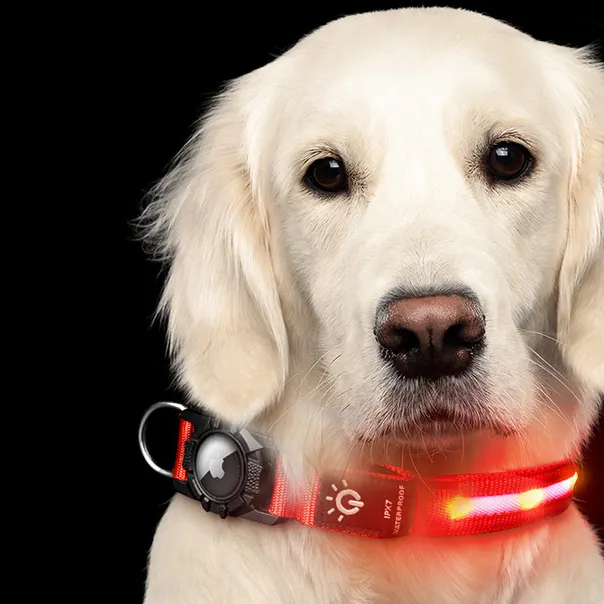 100% IPX7 tahan Air lampu dapat diatur menyala berkedip bercahaya USB isi ulang Apple tag udara LED kerah anjing hewan peliharaan