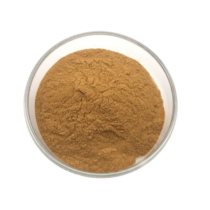 Poudre d'extrait de Cissus Quadrangularis biologique naturel de haute pureté, export direct d'usine - Product Image 3