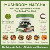 Lifeworth Champignons adaptogènes Avoine Poudre laiteuse mélanges thé vert latte au lait