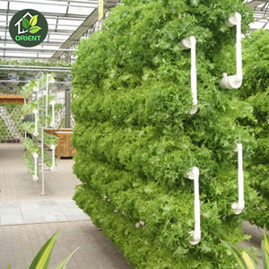 Serre en polycarbonate à plusieurs niveaux en polycarbonate, serre météo chaude pour <span class=keywords><strong>tomates</strong></span>, serre hydroponique, plantation - Product Image 5