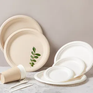 Eco-Friendly Sugarcane Round Plate For Compostable