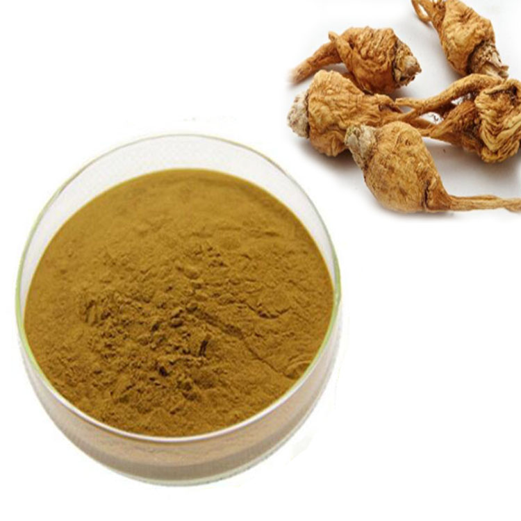 Maca root extract Black Maca root extract