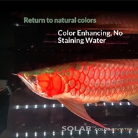 Éclairage LED moderne et écologique pour aquarium, accessoire rectangulaire en plastique, lumière spéciale de plongée pour poissons Thunder Dragon