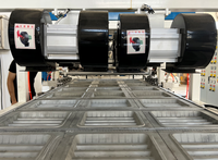 Automatische inline vacuümvormapparaat voor het maken van wegwerpbaar, biologisch afbreekbaar PLA maïszetmeel gebaseerde ronde voedselborden, kommen en maaltijdtrays