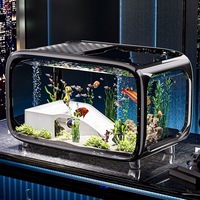 Aquarium rectangulaire en verre ultra-transparent pour poissons rouges, idéal pour la maison, le patio et le salon, petit format, pour l'affichage d'écosystèmes aquatiques.