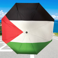 Parapluie Palestine, drapeau national, imperméable, pliable, 21 pouces, pour enfants, en tissu pongé, couleur et logo personnalisables
