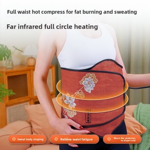 Cinturón de Microacupuntura EMS |   Dispositivo de Fisioterapia con Compresión Caliente y Presión de Aire |   Masajeador de Fitness de Temperatura Constante - Product Image 4