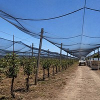 Filet anti-oiseaux en HDPE tricoté, stabilisé aux UV, pour jardin, verger, légumes et protection des cultures
