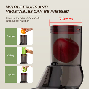 <span class=keywords><strong>Presse</strong></span>-agrumes multifonctionnel commercial de Ms Big Mouth, <span class=keywords><strong>presse</strong></span> à froid lente électrique, extracteur de fruits et légumes à mâcher - Product Image 6