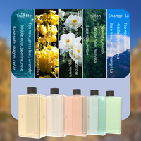Diffuseur d'huiles essentielles aromathérapeutiques Meditacion Unplug Weljoy, lampe de nuit, micro-humidificateur pour hôtel, voiture, maison