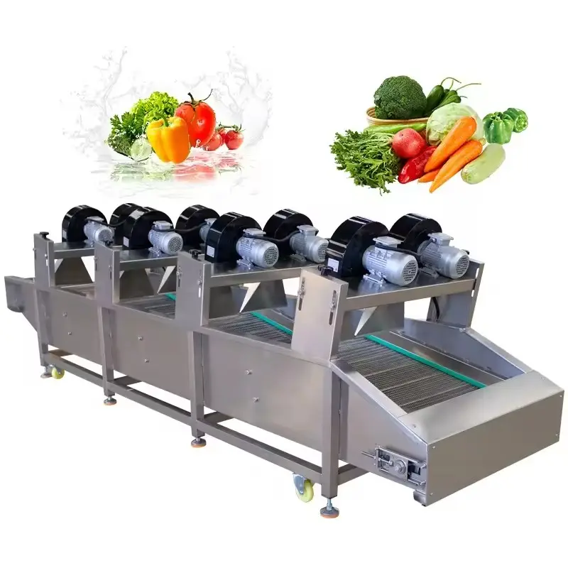 Peralatan pemroses sayuran kering, Mesin Pengering buah dan sayuran