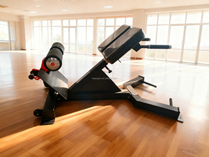 Chaise réglable d'<span class=keywords><strong>hyperextension</strong></span> d'équipement de forme physique de banc d'extension de dos de 45 degrés de nouvelle conception commerciale pour la <span class=keywords><strong>musculation</strong></span> - Product Image 3