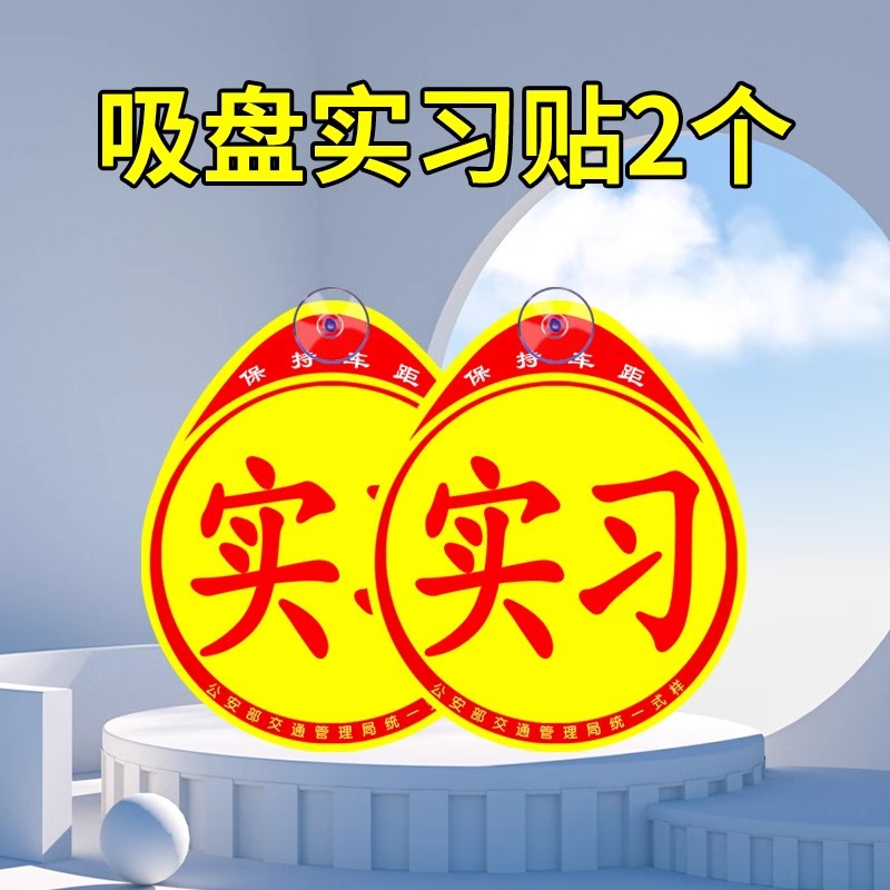 Suction Cup Practice Stickers *2